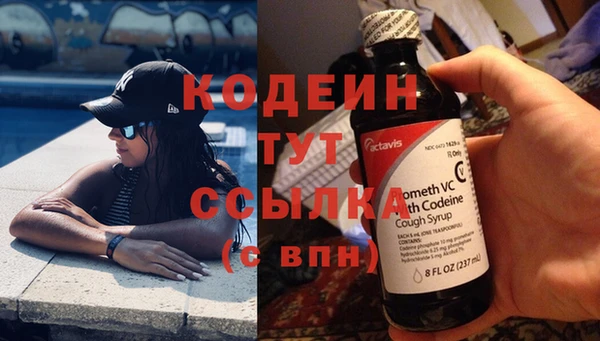гашик Арсеньев