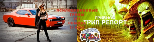 дурь Армянск