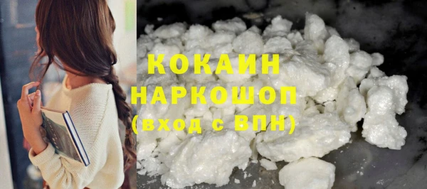 гашик Арсеньев