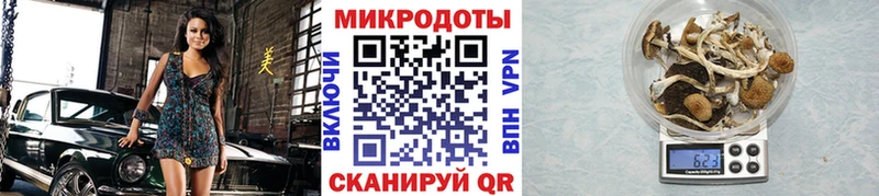 нарко площадка телеграм  Сим  Галлюциногенные грибы Psilocybine cubensis  купить закладку 